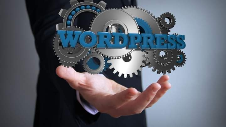 WordPress SEO Service